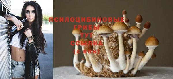 тгк Алексин