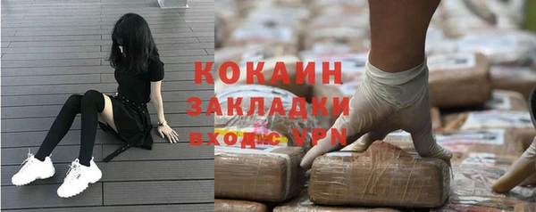 ГАЛЛЮЦИНОГЕННЫЕ ГРИБЫ Абаза