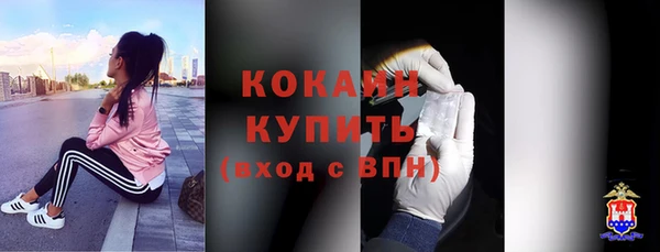 тгк Алексин
