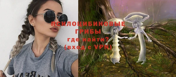 ГАЛЛЮЦИНОГЕННЫЕ ГРИБЫ Абаза
