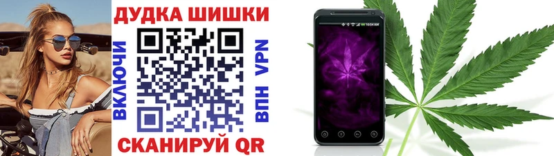 где купить наркоту  Злынка  Каннабис гибрид 